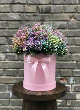 Цветочная композиция из Гипсофила и Розы в шляпной коробке #REPLACE_PRED# Кумыше