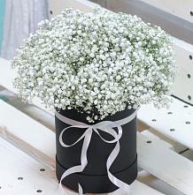 Цветочная композиция из Гипсофила в шляпной коробке в Кумыше