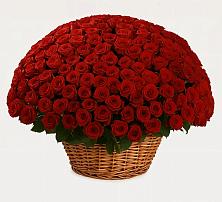 Премиум букет из: Розы в Кумыше